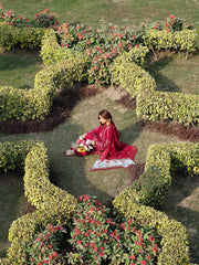Ameera 3PC