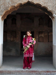 Ameera 3PC